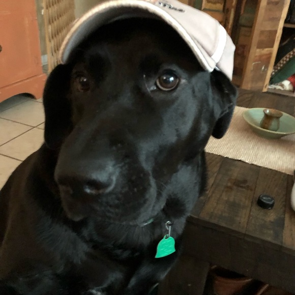 Meet your Poshers, Jim and Margy. - Picture 4 of 13